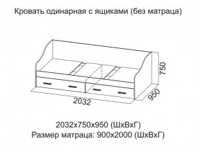 Кровать одинарная с ящиками (Без матраца 0,9*2,0) в Ишиме - ishim.magazin-mebel74.ru | фото