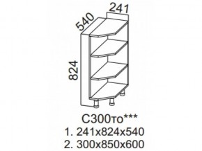 С300то Стол-рабочий 300 (торцевой открытый) в Ишиме - ishim.magazin-mebel74.ru | фото