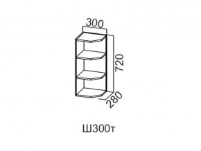 Ш300т/720 Шкаф навесной 300/720 (торцевой) в Ишиме - ishim.magazin-mebel74.ru | фото