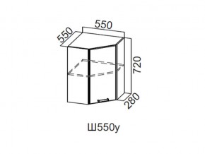 Ш550у/720 Шкаф навесной 550/720 (угловой) в Ишиме - ishim.magazin-mebel74.ru | фото