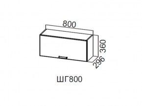 ШГ800/360 Шкаф навесной 800/360 (горизонт.) в Ишиме - ishim.magazin-mebel74.ru | фото