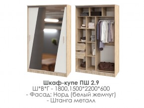 шкаф-купе ПШ-2.9 1500 Норд Белый жемчуг 1500 в Ишиме - ishim.magazin-mebel74.ru | фото