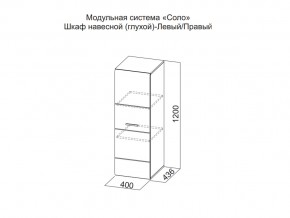 Шкаф навесной (глухой) Левый в Ишиме - ishim.magazin-mebel74.ru | фото